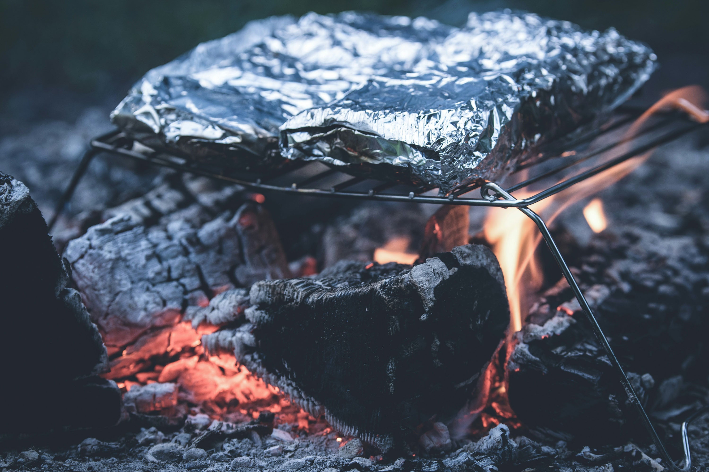 Hobo Trout Catch and Cook